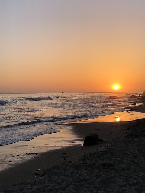 Free Sunset Pacific photo and picture