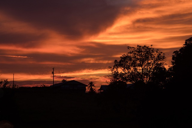 Free Orange Sunset photo and picture