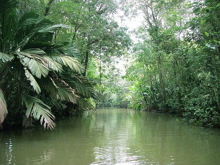 Free Stream River photo and picture