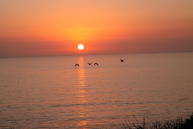 Free Sunset Ocean photo and picture