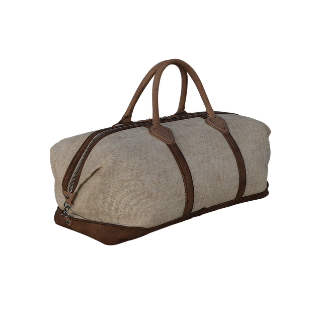 Free luggage duffel bag illustration