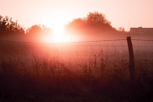 Nascer Do Sol, Sol, Névoa, Névoa Matinal