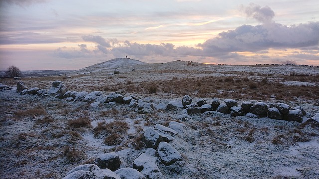 Free Winter Snow photo and picture