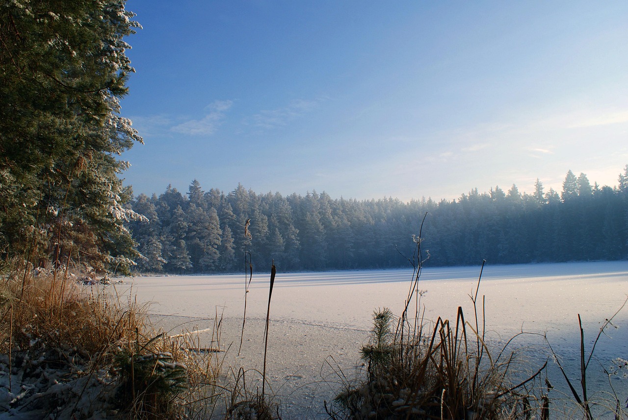 See Winter Wald - Kostenloses Foto auf Pixabay - Pixabay