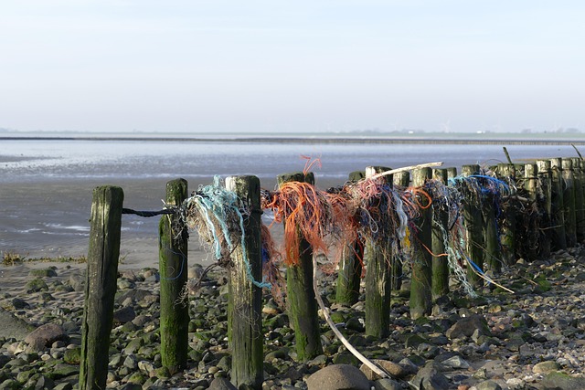 Mar, Mar Do Norte, Mar De Wadden, Watt