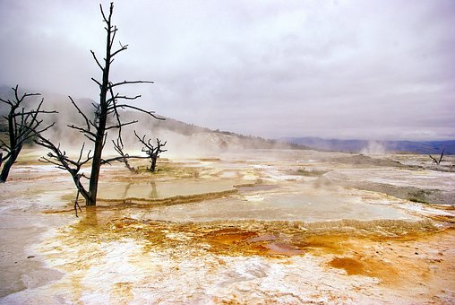 繧、繧ィ繝ュ繝シ繧ケ繝医・繝ウ縺ョ繧ォ繝翫Μ繧「譏・, 繝槭Φ繝「繧ケ, 繝帙ャ繝�, 譏・, 繝・Λ繧ケ