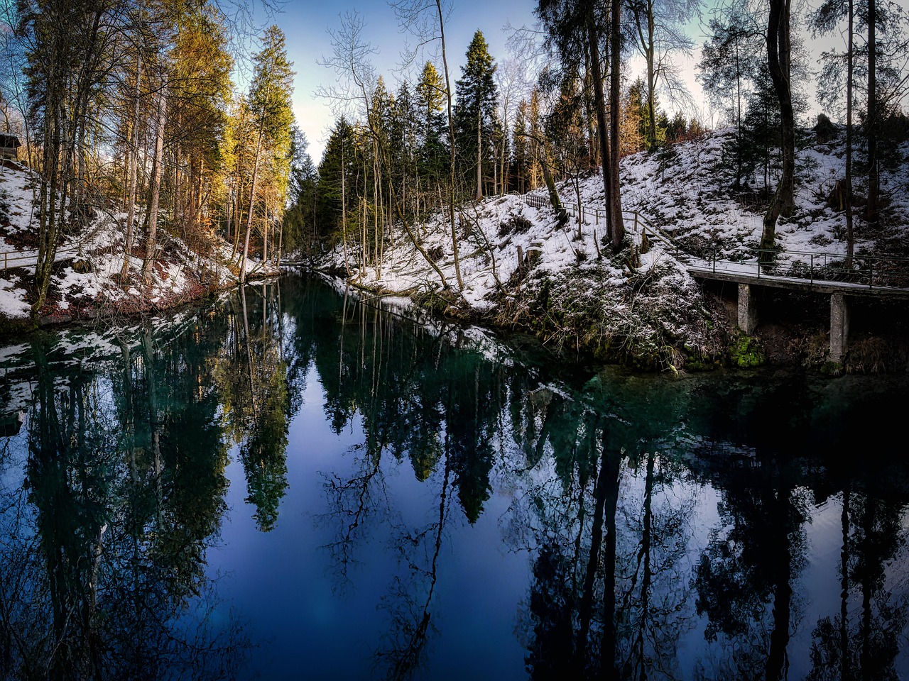 Barrage Lake Forest Free photo on Pixabay Pixabay