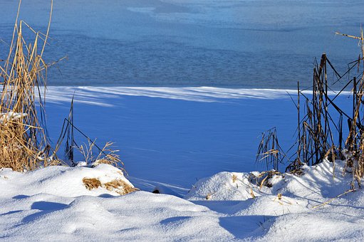 Free Untreusee Winter photo and picture