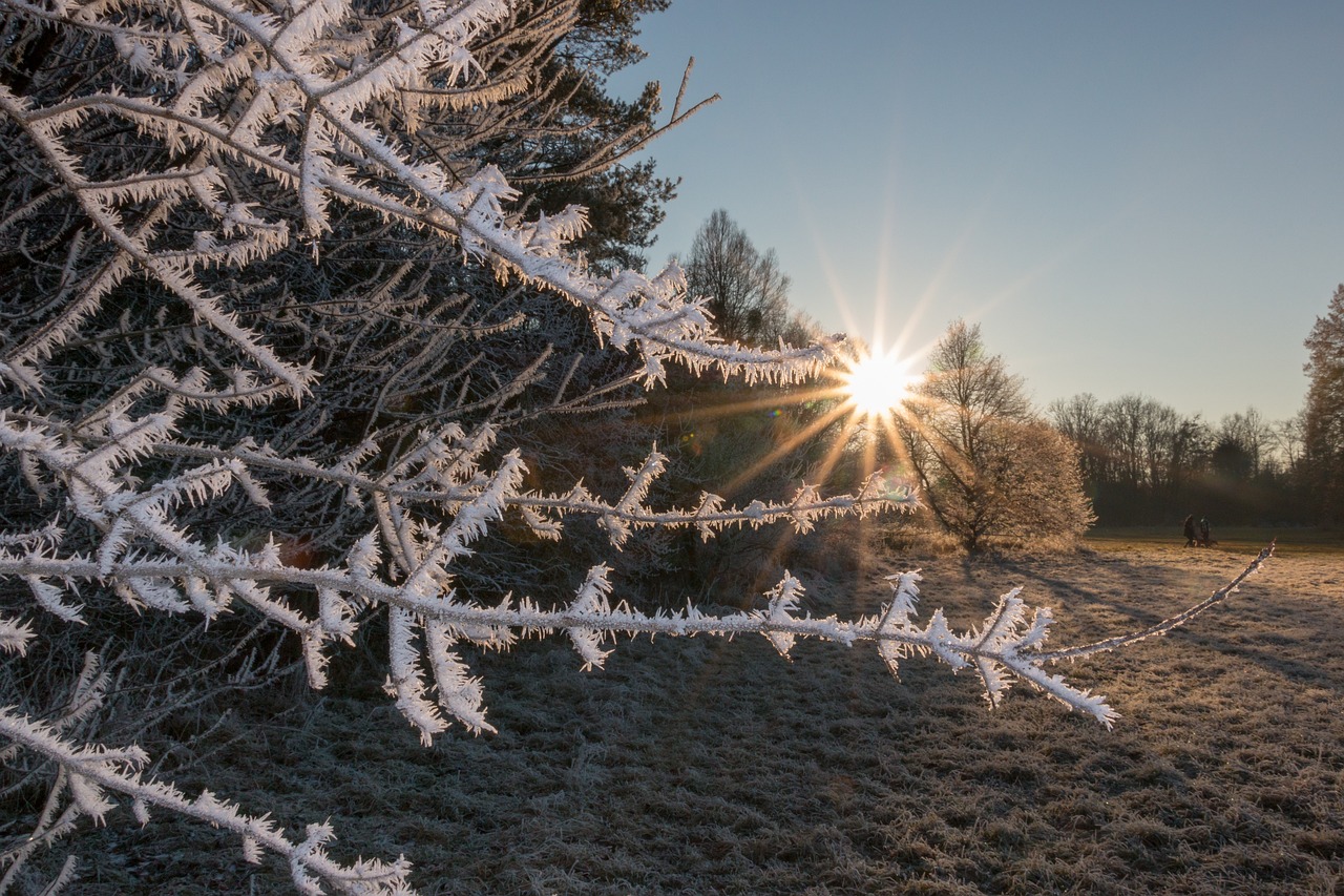 Frost Winter Gefroren - Kostenloses Foto auf Pixabay - Pixabay