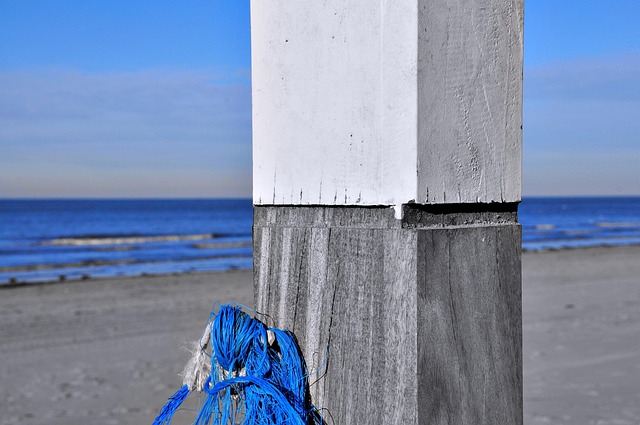 Free Beach Sea photo and picture