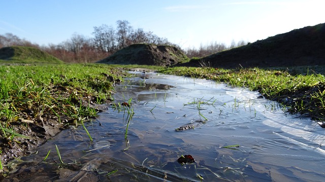 Softijs, Weide, Natuur, Winter, Koud