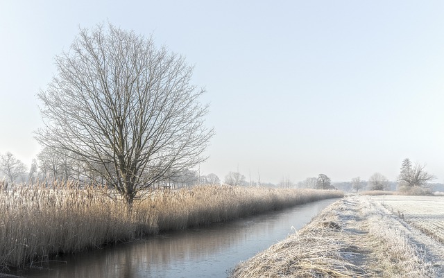 Free Winter Cold photo and picture