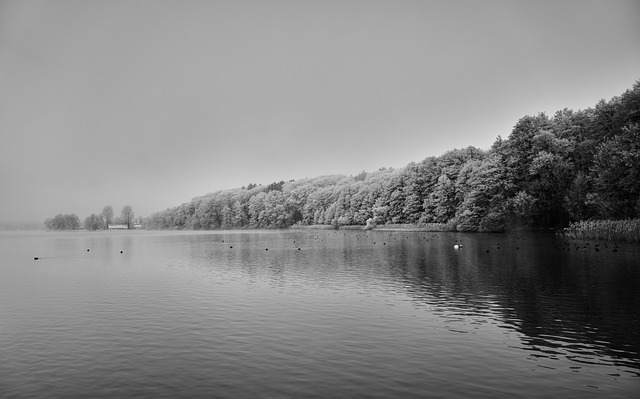 Free Landscape Black-And-White photo and picture