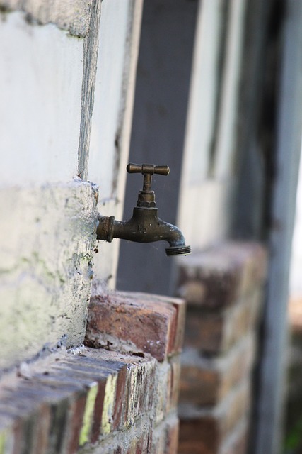 Free Faucet Water photo and picture