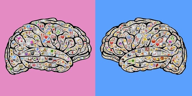 Mentaliteten, Oplevelser, Køn