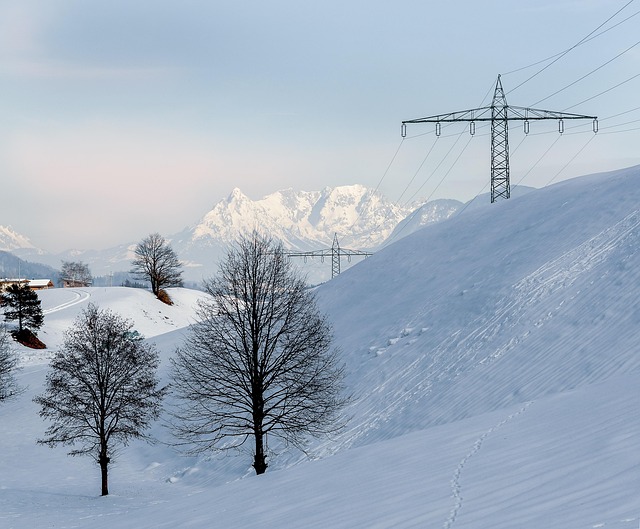 Free Winter Landscape Snow photo and picture