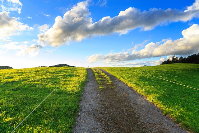 Free Path Heaven photo and picture