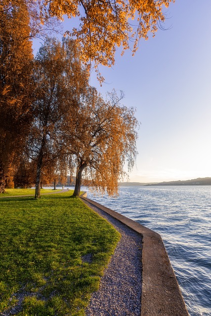 Free Lake Riverbank photo and picture