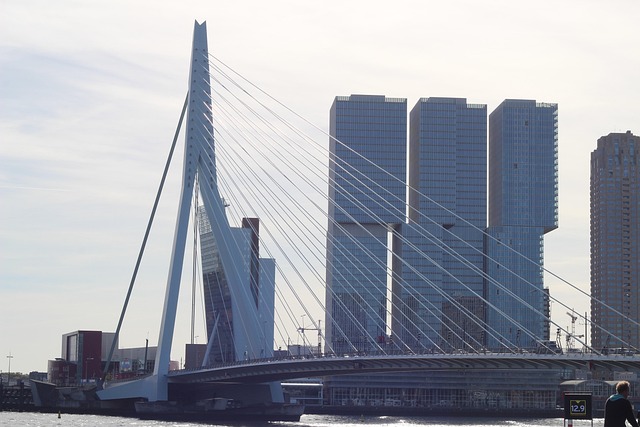 Free Netherlands Rotterdam photo and picture