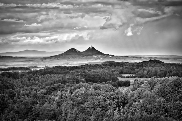 Naturaleza, País, Colina, Nubes, Bosque