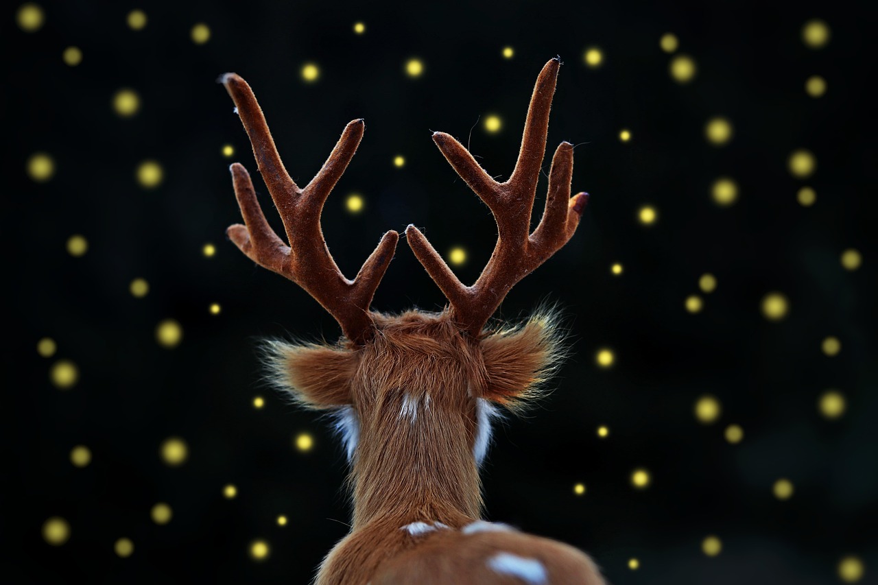 Fallow Deer - free online jigsaw puzzle photo