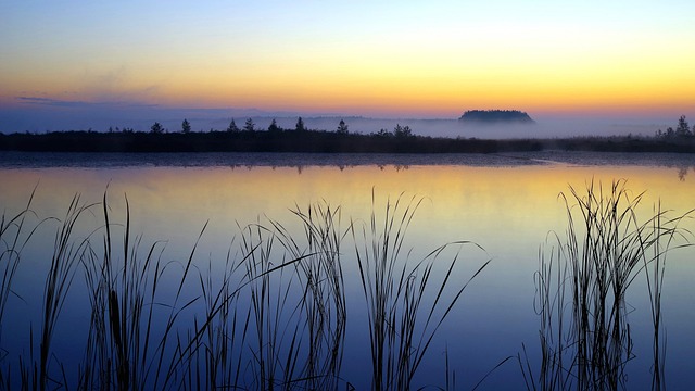 Free Dawn Rushes photo and picture