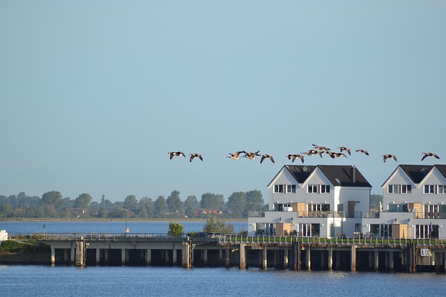 Free Olpenitz Baltic Sea photo and picture