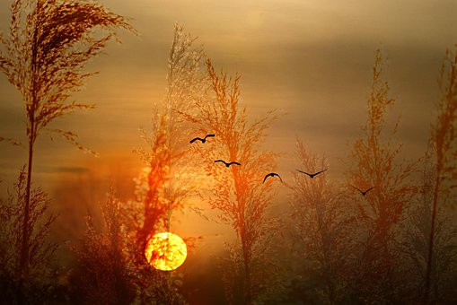 Hoàng Hôn, Ánh Nắng Mặt Trời, Bầu Trời