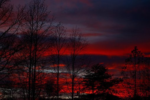 Sol, Solnedgang, Tre, Landskap, Himmel