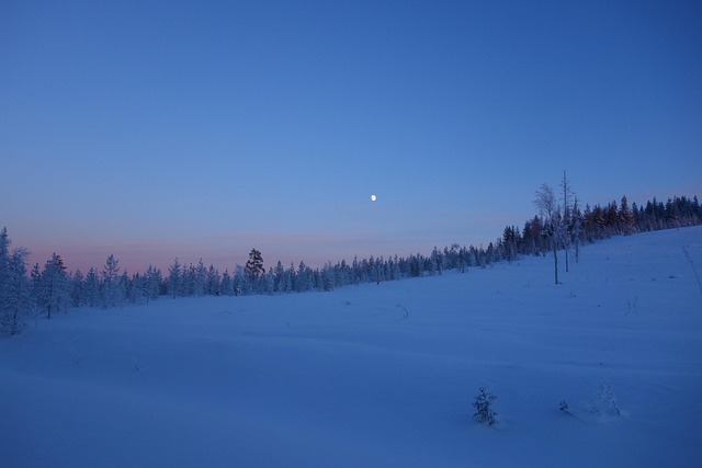 Free Sweden Nature photo and picture