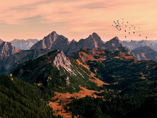 Free Pfronten Hill photo and picture