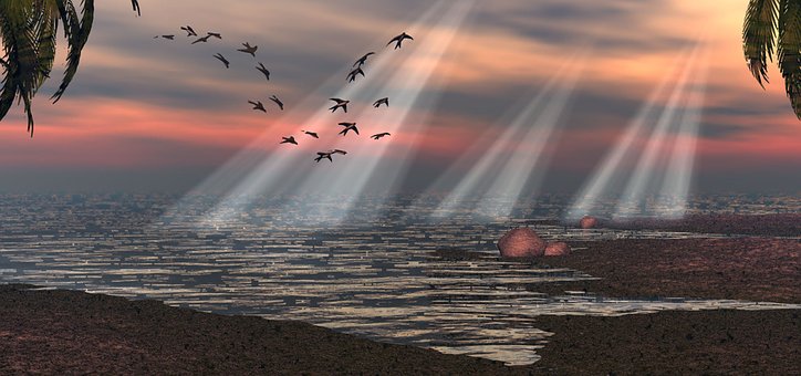 Free Night Ocean illustration and picture