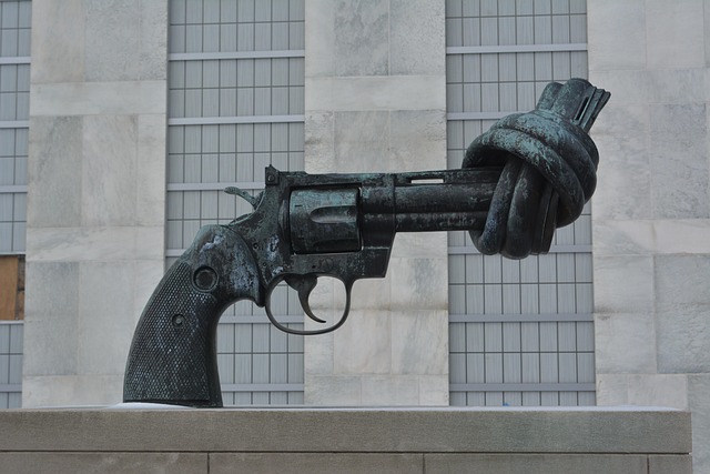 Free Gun United Nations photo and picture