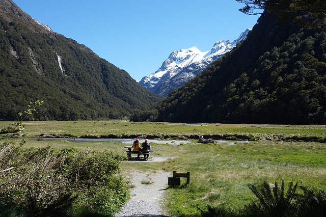 Free New Zealand Nature photo and picture