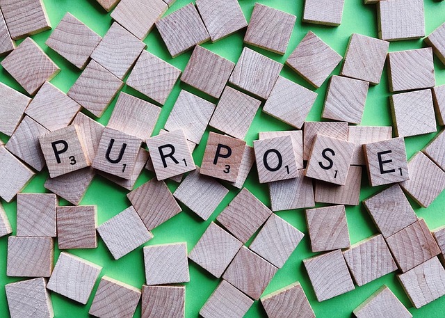 Purpose Intention Goal Free photo on Pixabay