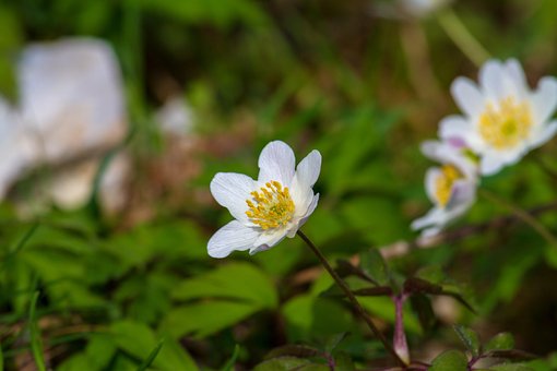 울산시 복산동 개인파산 빚청산4