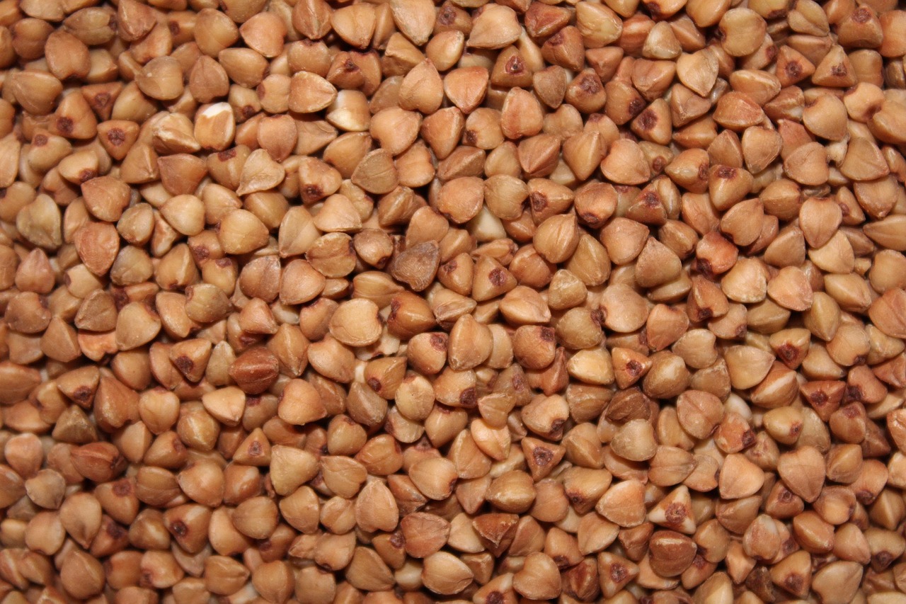 Buckwheat Groats Healthy Eating - Free photo on Pixabay