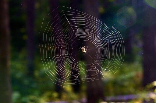 繧ッ繝「, Web, 閾ェ辟カ, 譏・勠, 豌怜袖謔ェ縺�, 繝医Λ繝・・, 蜍慕黄, 豌キ豐ウ, 蝗ス螳カ