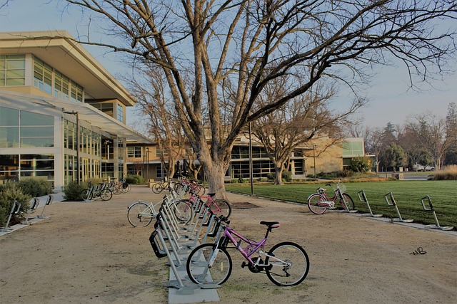 Uc Davis, Fahrräder, Campus, Gebäude