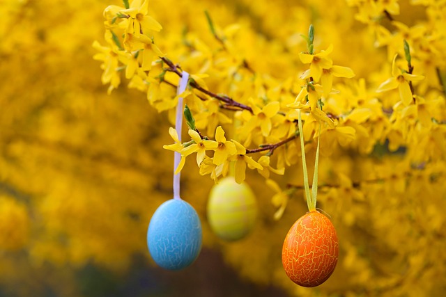 Påske, Æg, Blomster, Gul, Blomstring