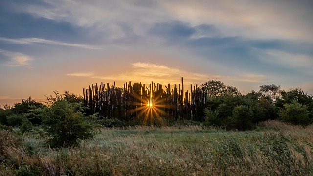 Free Amager Blue photo and picture