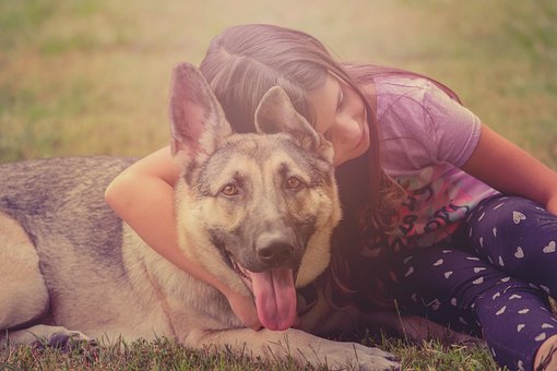 Hund, Kind, Deutscher Schäferhund, Liebe