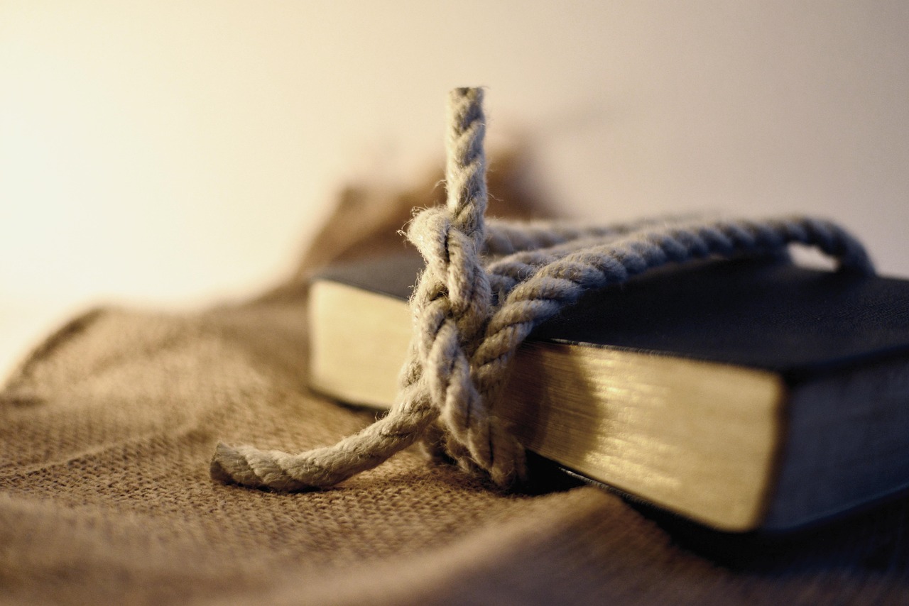 500+ Free Understand & Understanding Images - Pixabay