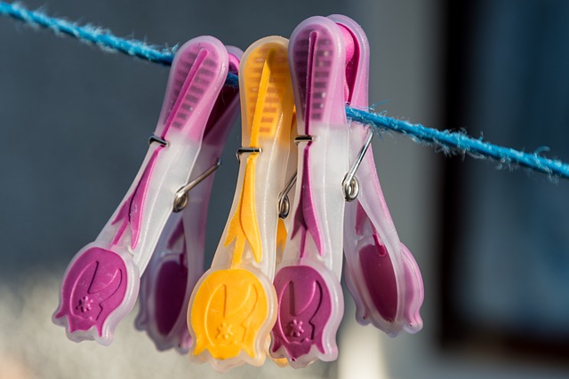 Free Washing Peg photo and picture