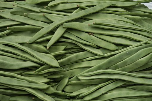 Free Beans Food photo and picture