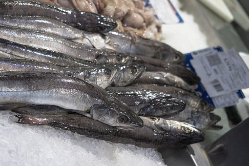 Free Fish Market photo and picture