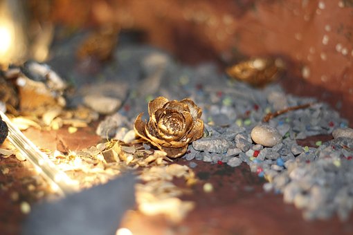 Free Pine Cone Pebbles photo and picture