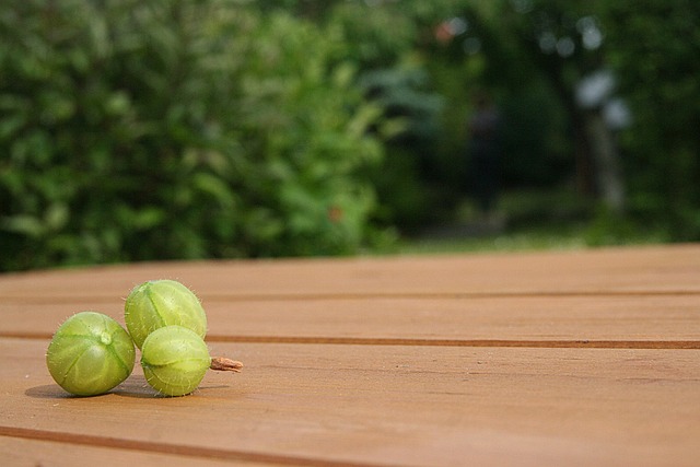 Free Gooseberry Garden photo and picture