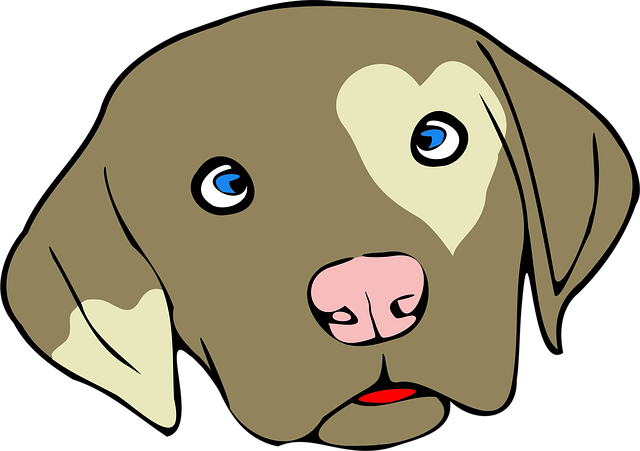 Hündchen, Herz, Patch, Hund, Haustier