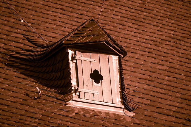 hatch, dormer, roof hatch, slate roof, slate, church roof, church, window, gable, wood load